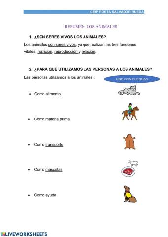 Resumen animales tercero