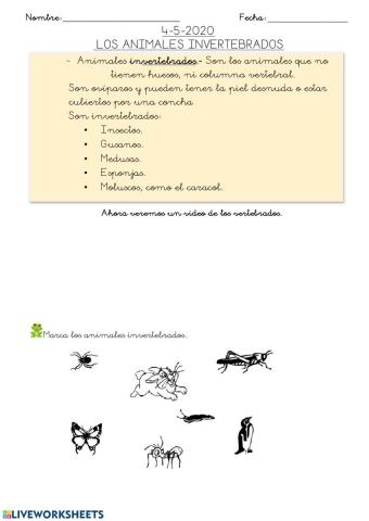 Hoja 7: Animales invertebrados 4-5