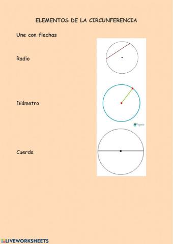 Elementos de una circunferencia