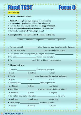 FINAL Test (8th form)