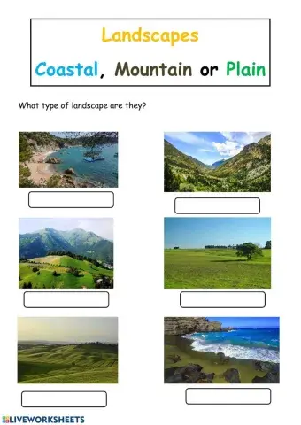 Types of landscapes