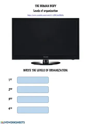 Levels of organization