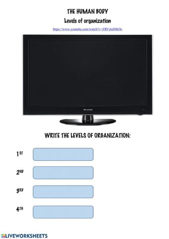 Levels of organization