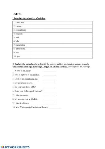 Adjectives, pronouns