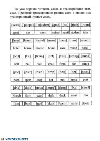 Слова и транскрипция