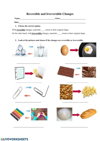 Reversible and Irreversible Changes