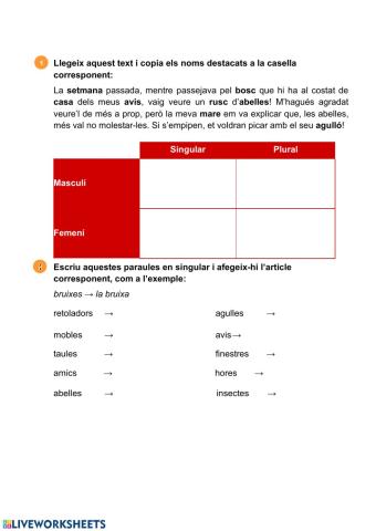 Singular i plural, Articles, sinònims, br i bl, determinants