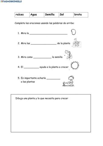 Ciclo de la planta