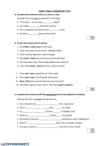 Elementary third term test