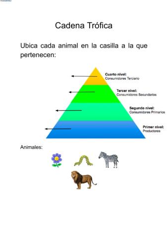 Cadena Trófica