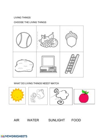 Living or non living