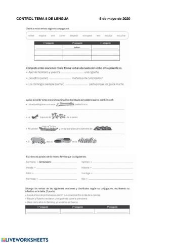 Conjugaciones verbales, familia de palabras