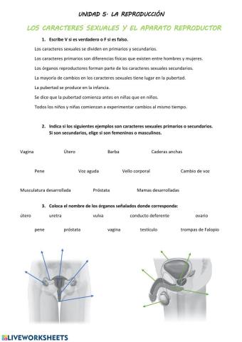 La reproducción. Caracteres sexuales y aparatos reproductores