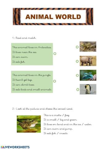 Animal world 2