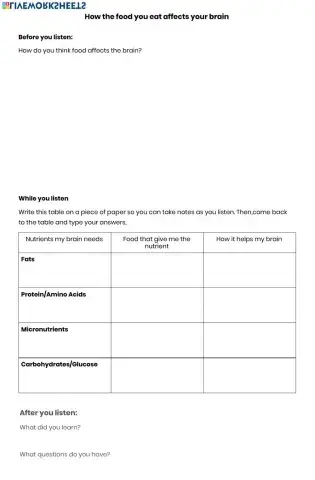 How Food Affects Your Brain