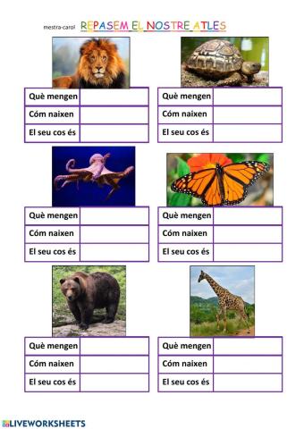 Classificació dels animals