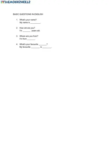 Basic questions in English