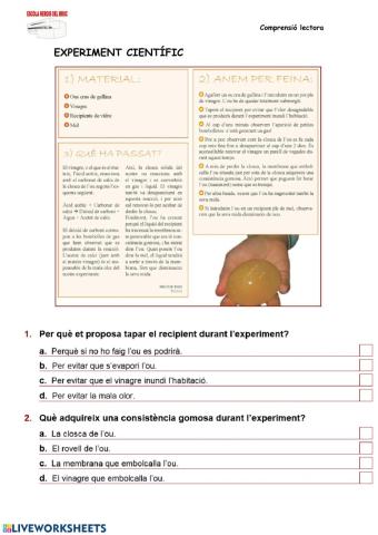 Experiment científic