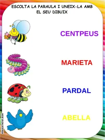 Vocabulario insectos