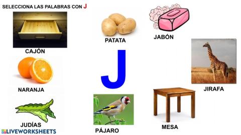 Palabras con J