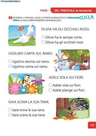 Lettura frasi in stampato minuscolo 3