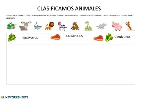 Clasificación animales