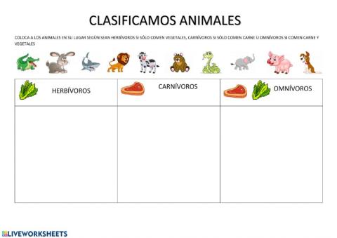 Clasificación animales