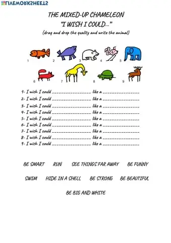 The mixed up chameleon