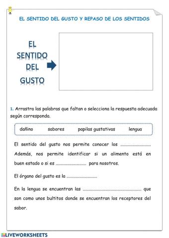 El gusto y los sentidos