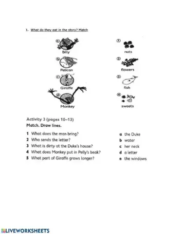 The giraffe the pelly