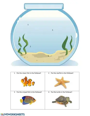 Fish Bowl
