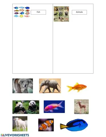 Sorting Animals and Fish