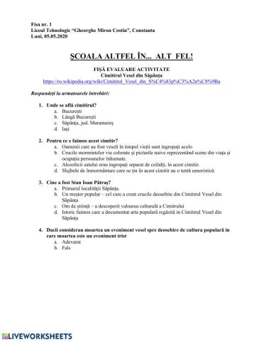 Cimitirul vesel, Sapanta