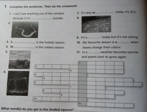 Play and revise 11 - Prosveta 5