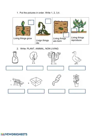 Living  things: characteristics