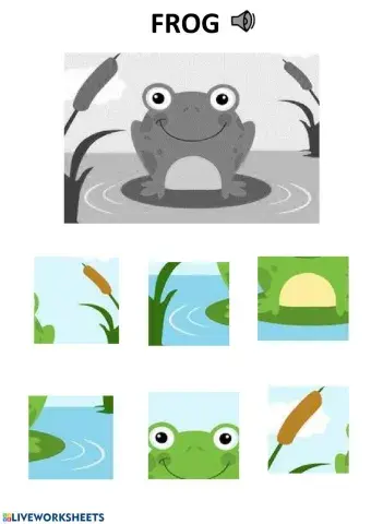 Frog puzzle