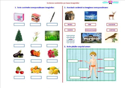 Scrierea cuvintelor pe baza imaginilor