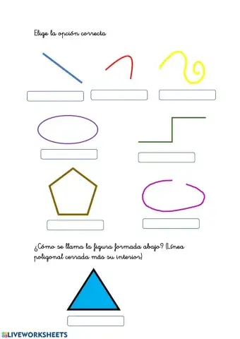 Líneas poligonales y líneas curvas