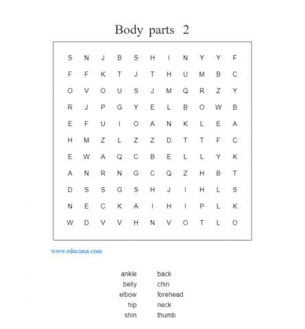 Body wordsearch 2