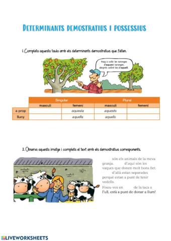 Demostratius i possessius