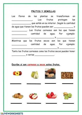 Repaso frutas y semillas