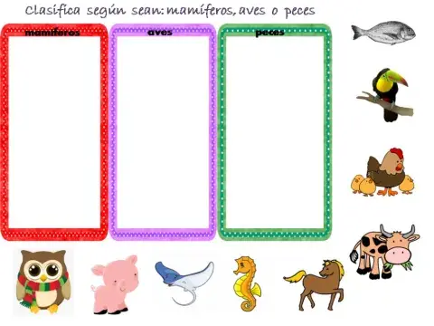 Mamíferos, peces y aves