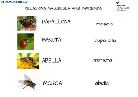 relaciona lletra majúscula amb lletra d'impremta