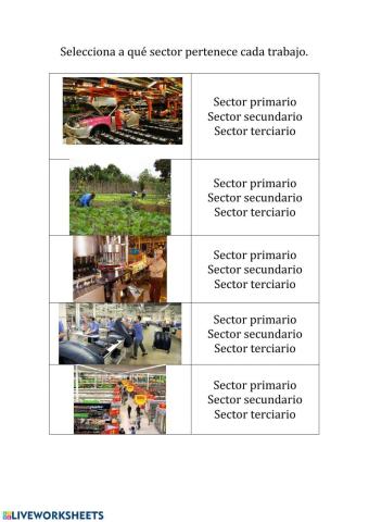 Tipos de sectores de trabajo