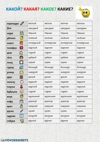 Какой? Какая? Какое? Какие?