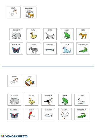 Tipos de animales (ficha adaptada de ARASAAC)