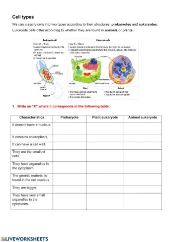 Biomolecules and cells