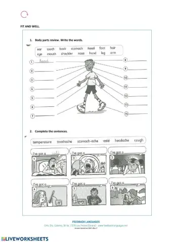 Body parts and health problems