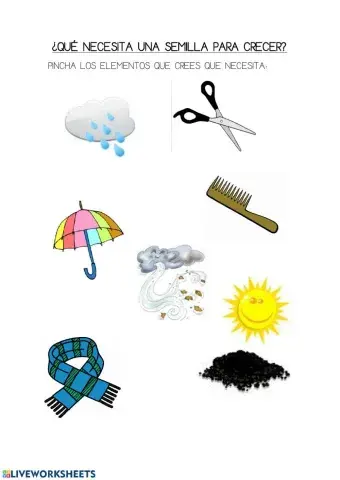 Una semilla necesita para crecer...