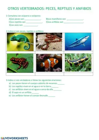 Peces, reptiles y anfibios